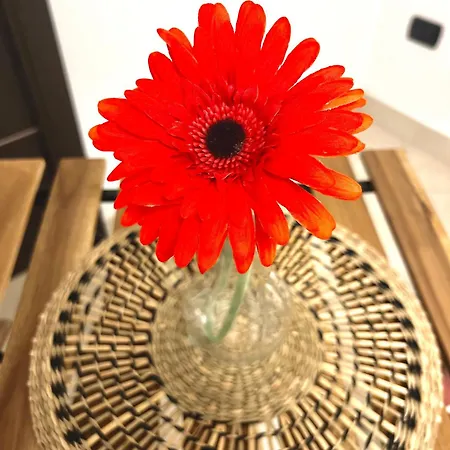 2mari Дом отдыха Бари