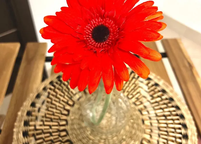 2mari Semesterbostad Bari